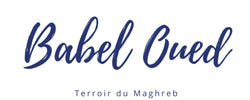 Babel Oued
